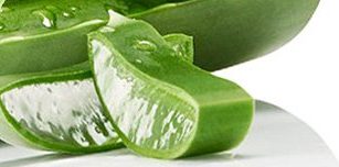 Aloe Vera Info